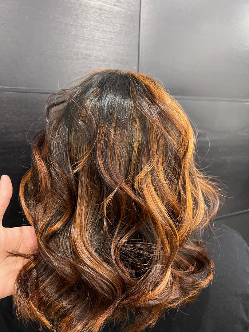 Shammi’s hair studio in Troy, MI (2)
