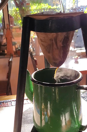 Bulegreen Cafe Yard in Oakland Park, FL (2)