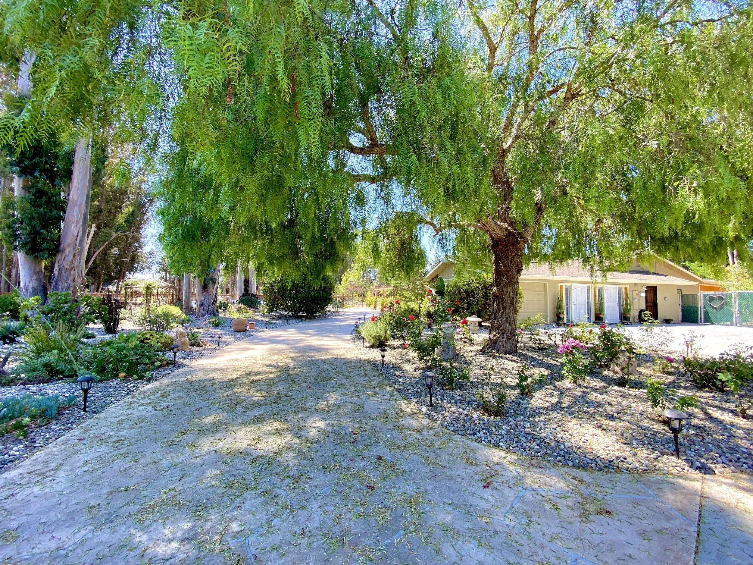 Team Puhek | Re/Max Success in Arroyo Grande, CA (2)