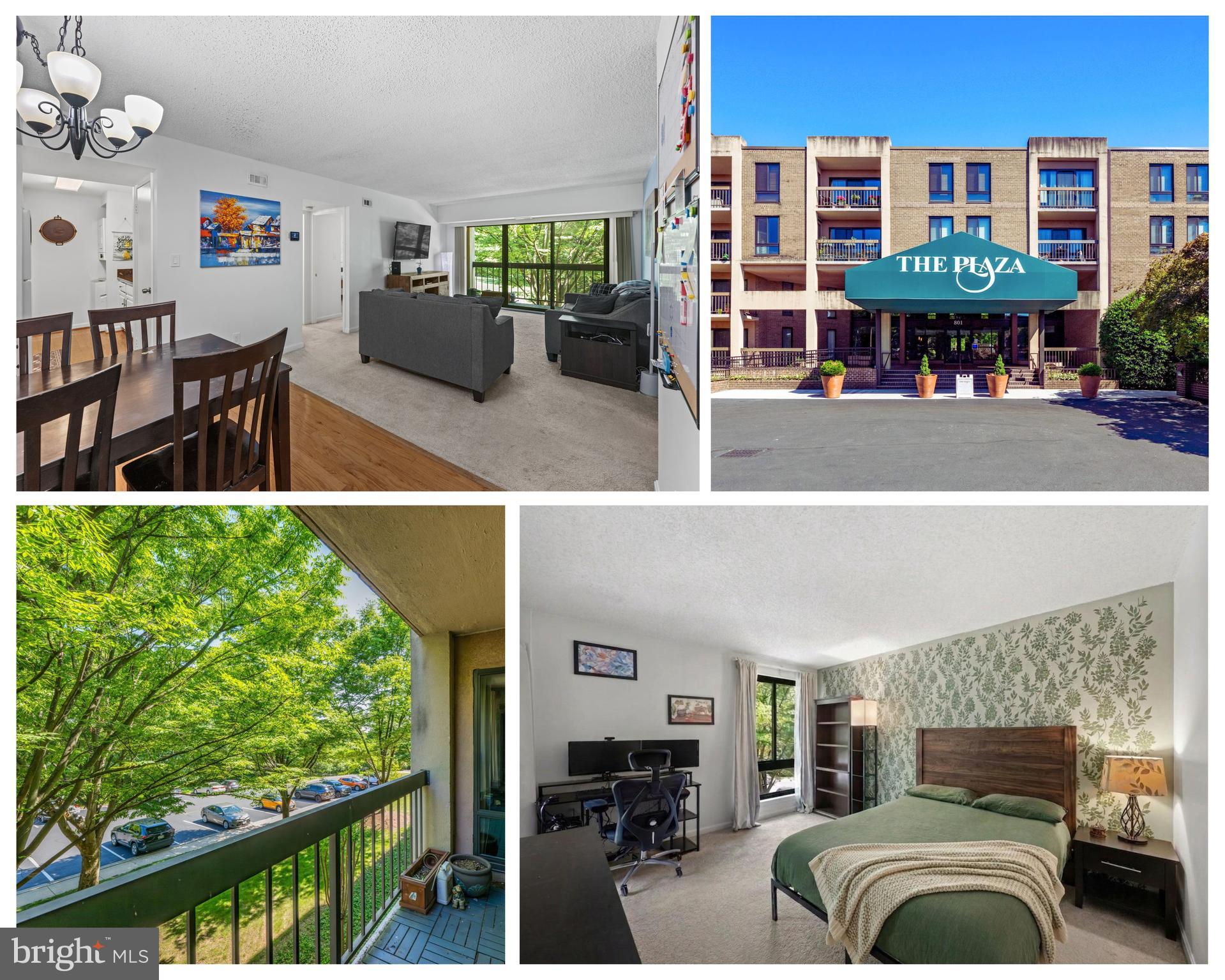 Shaun Murphy - REALTOR @ Compass Real Estate in Alexandria, VA