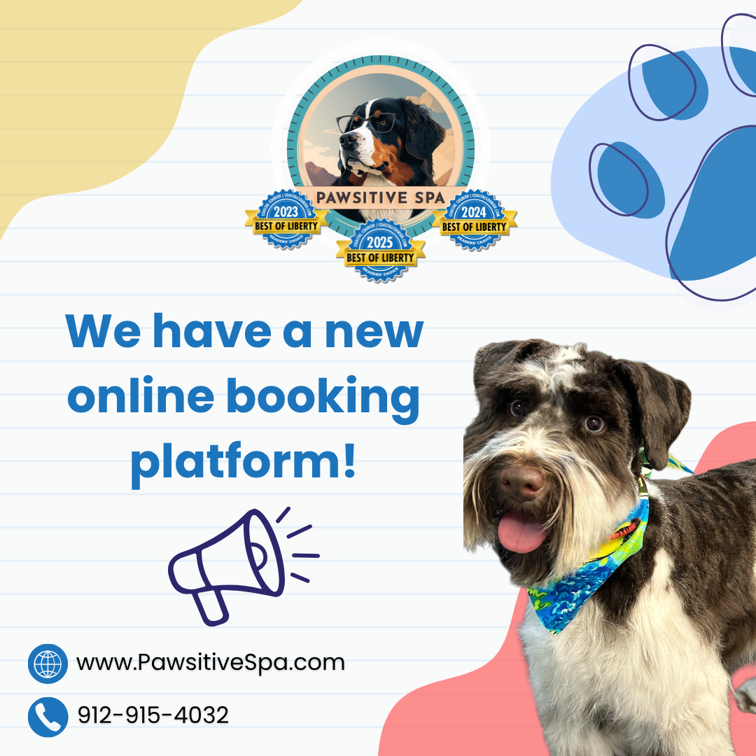 Pawsitive Spa LLC in Ludowici, GA (3)