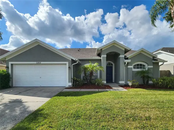 HOMM Real Estate Services in Brandon, FL (5)