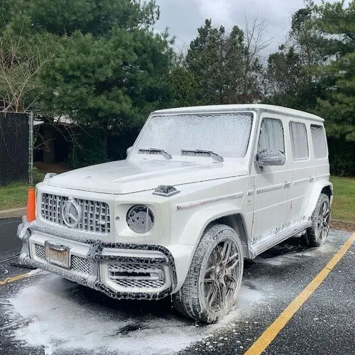 Bright Car Detailing Oak Mountain in Birmingham, AL (4)
