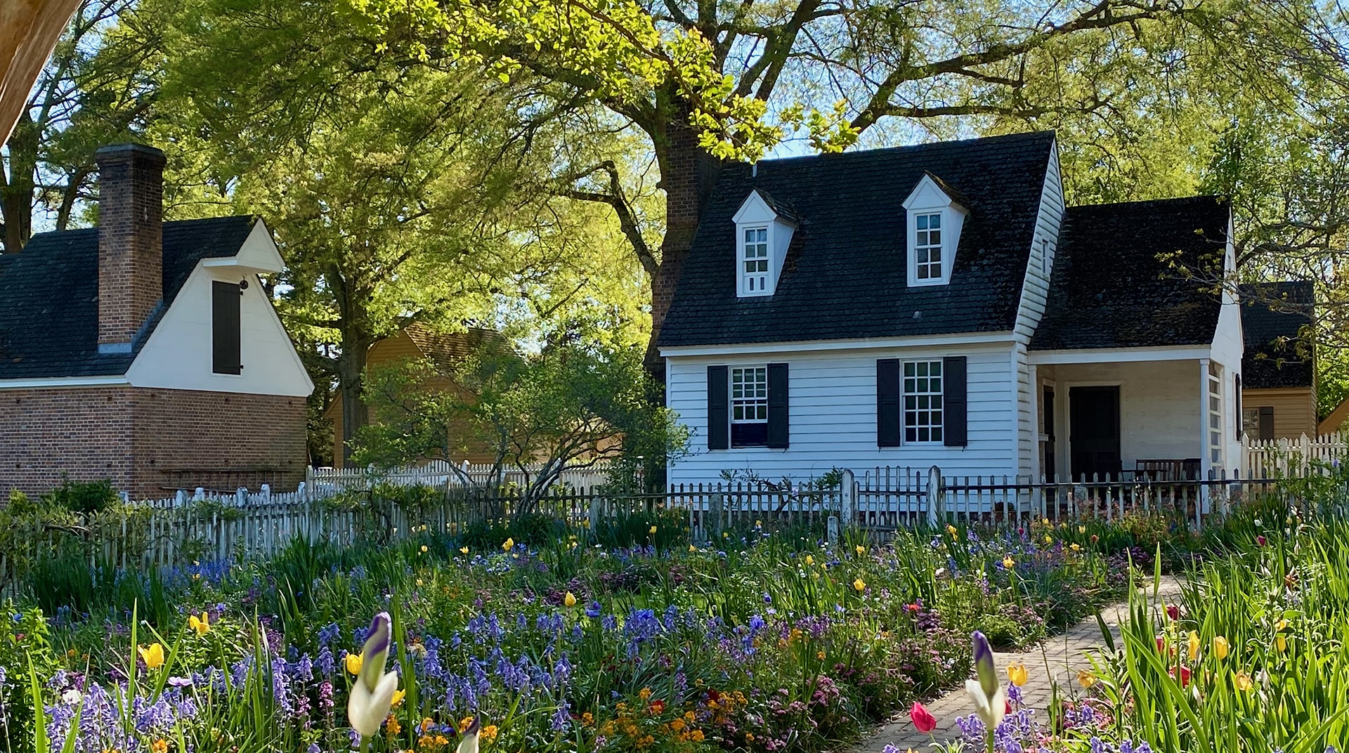 Suzanne Dana in Williamsburg, VA