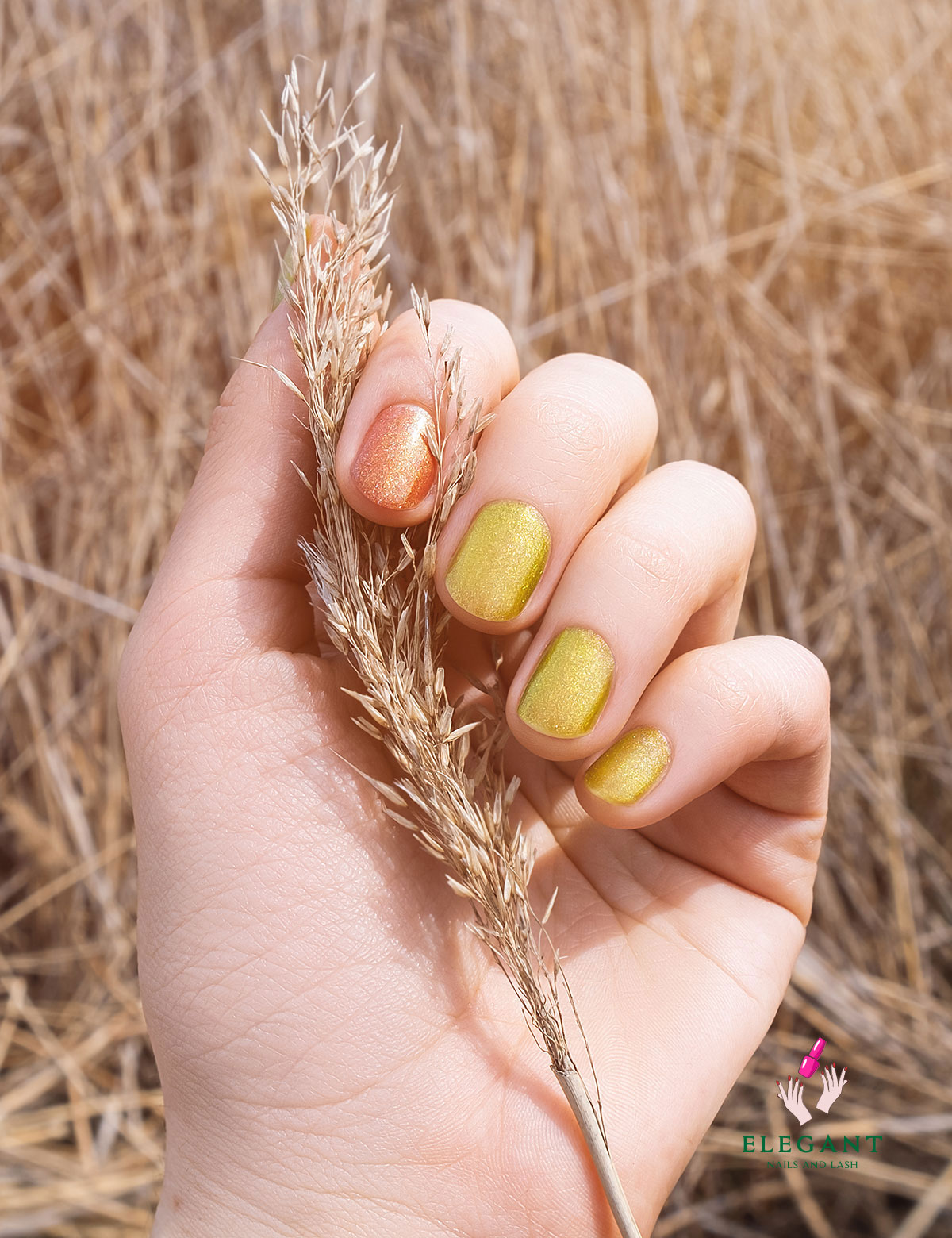 Elegant Nails in Kokomo, IN (3)