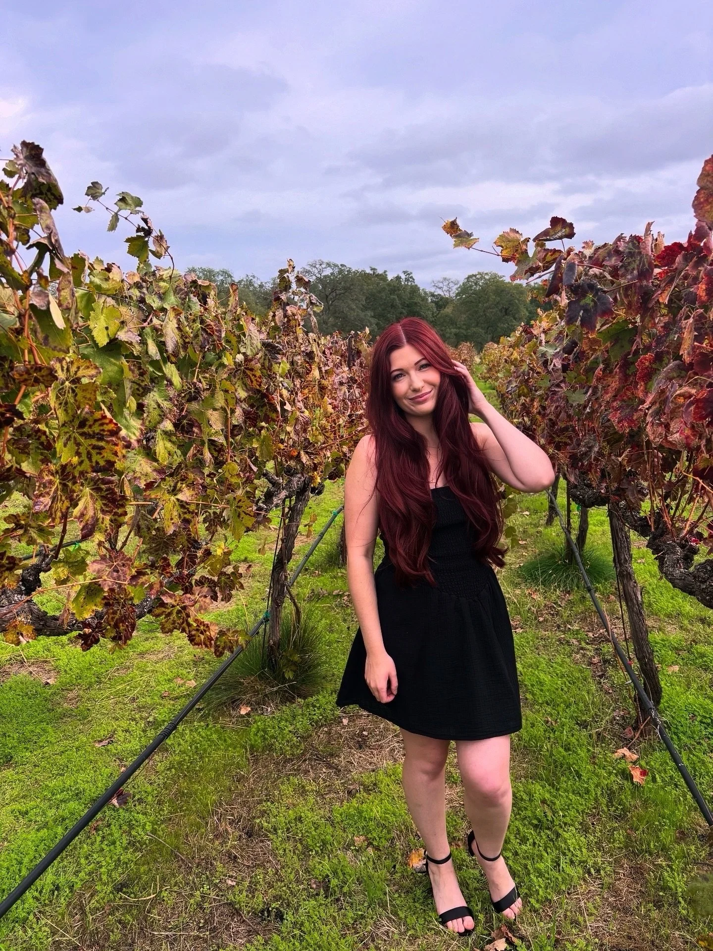 Lavish Locks Hair Extension Bar in Auburn, CA (6)