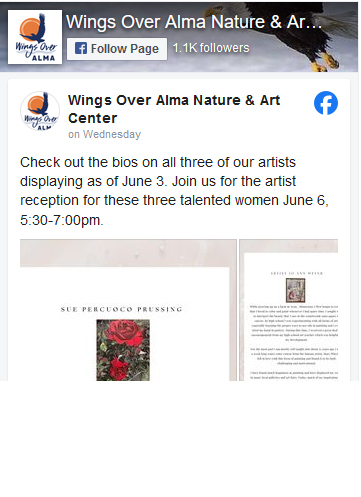 Wings Over Alma in Alma, WI (2)
