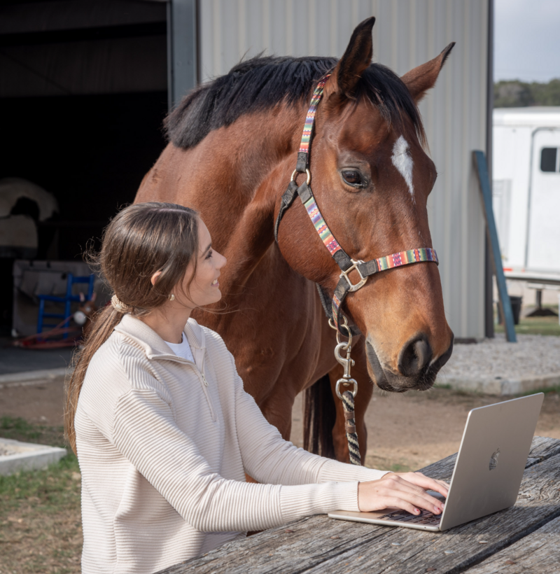 Bridle and Brand in Boerne, TX