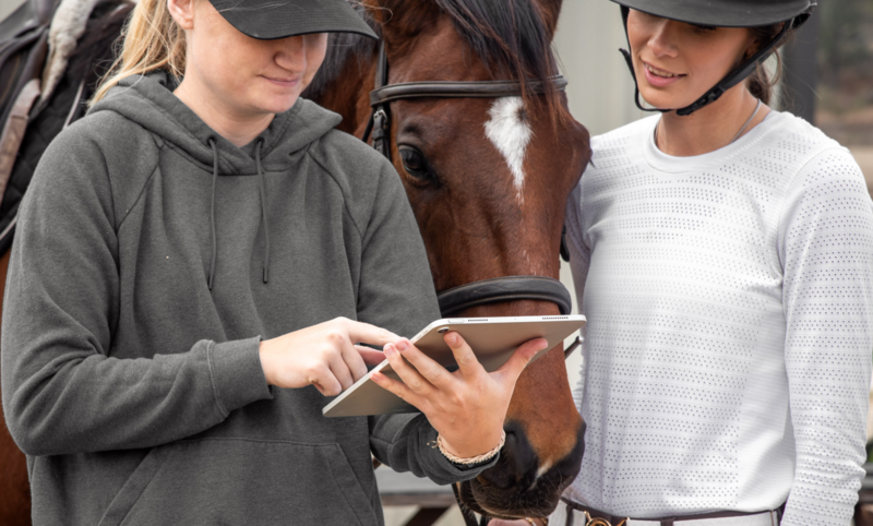 Bridle and Brand in Boerne, TX (3)