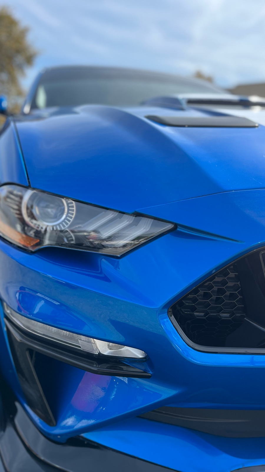 Ultra Auto Detailing LLC in Arcadia, CA (5)