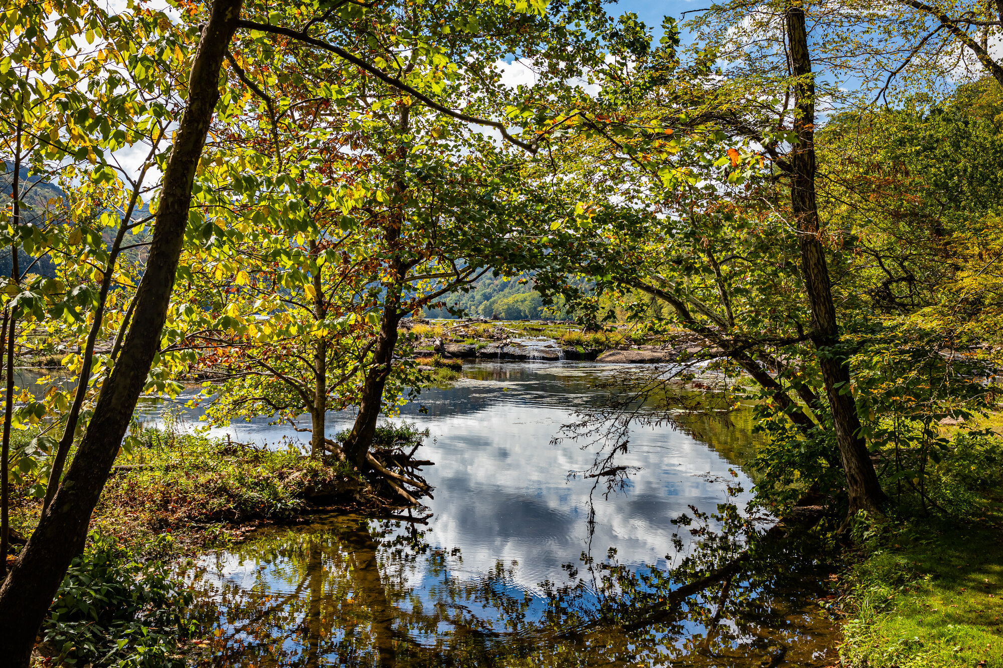 Coach Buys Homes in Winfield, WV (2)