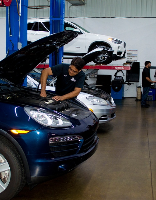 Autopotenza LLC. in Zionsville, IN (2)