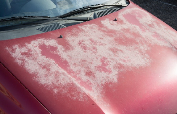 Bob Moses Ceramic Coating Waco/Central Texas in Lorena, TX (6)