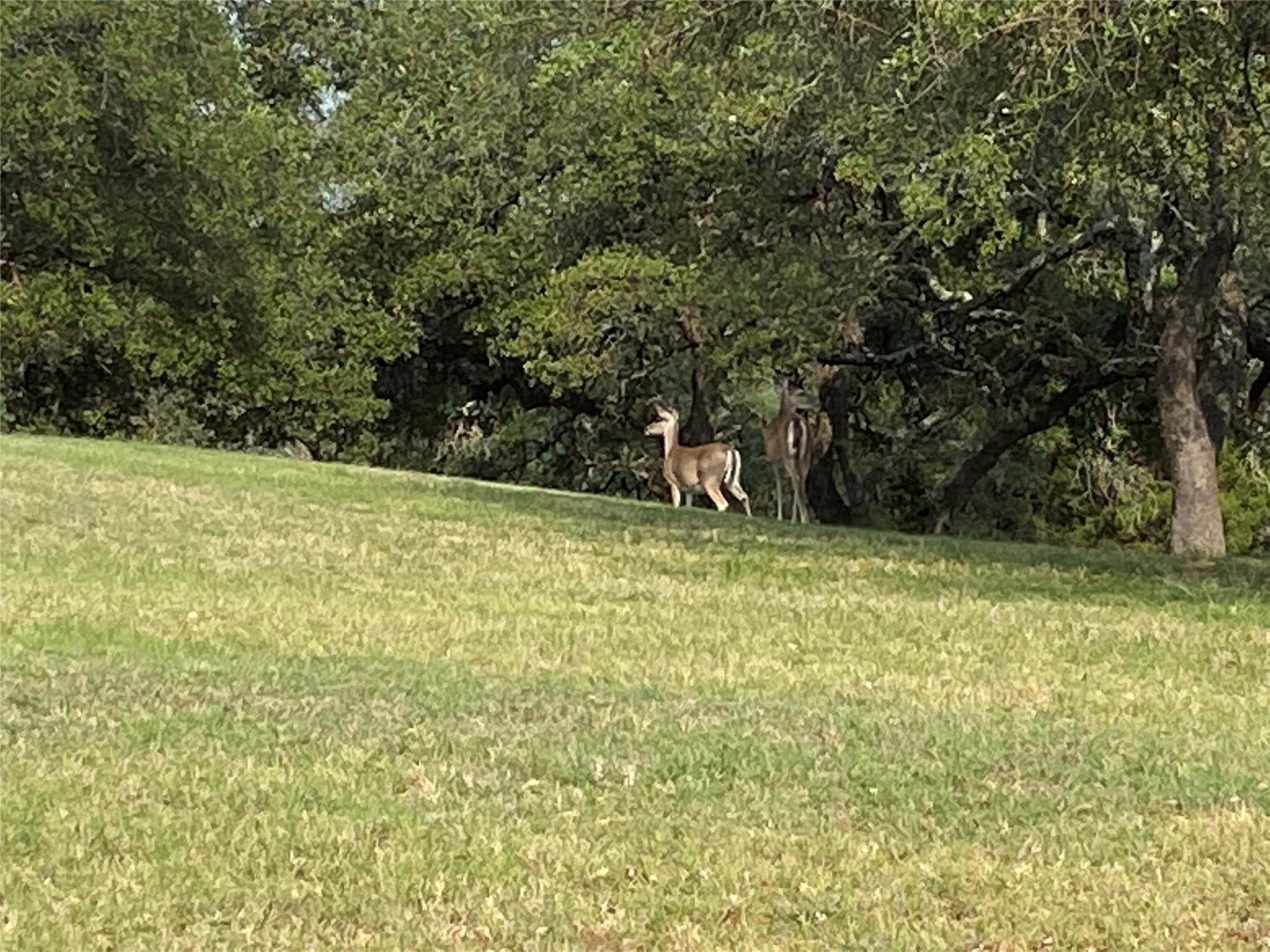 Realtor Cortney Caylor in Aledo, TX (5)