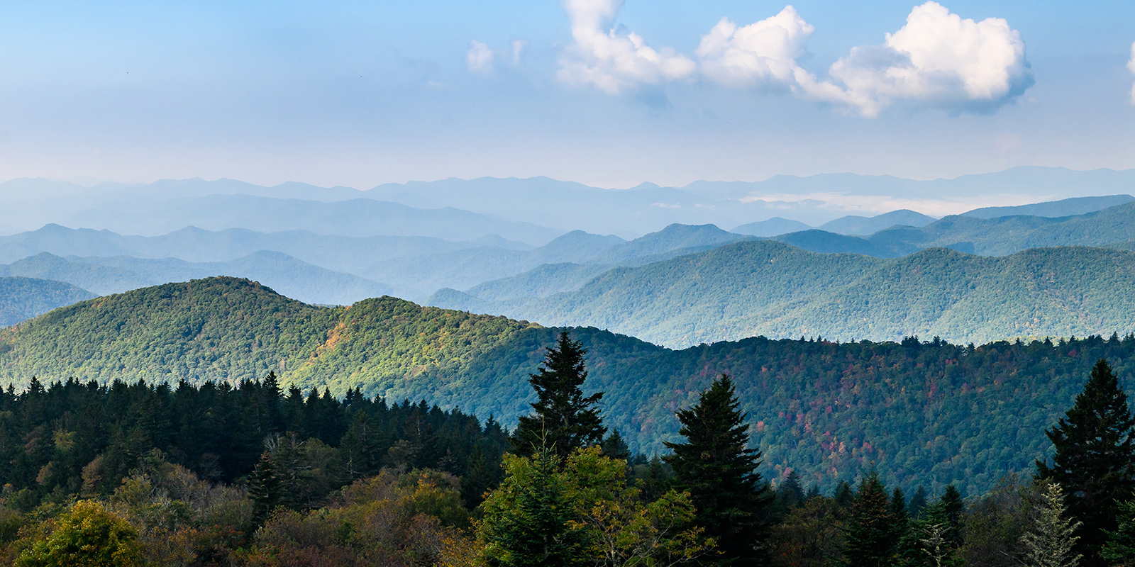 Edd Martin & Associates Real Estate in Stuart, VA (4)