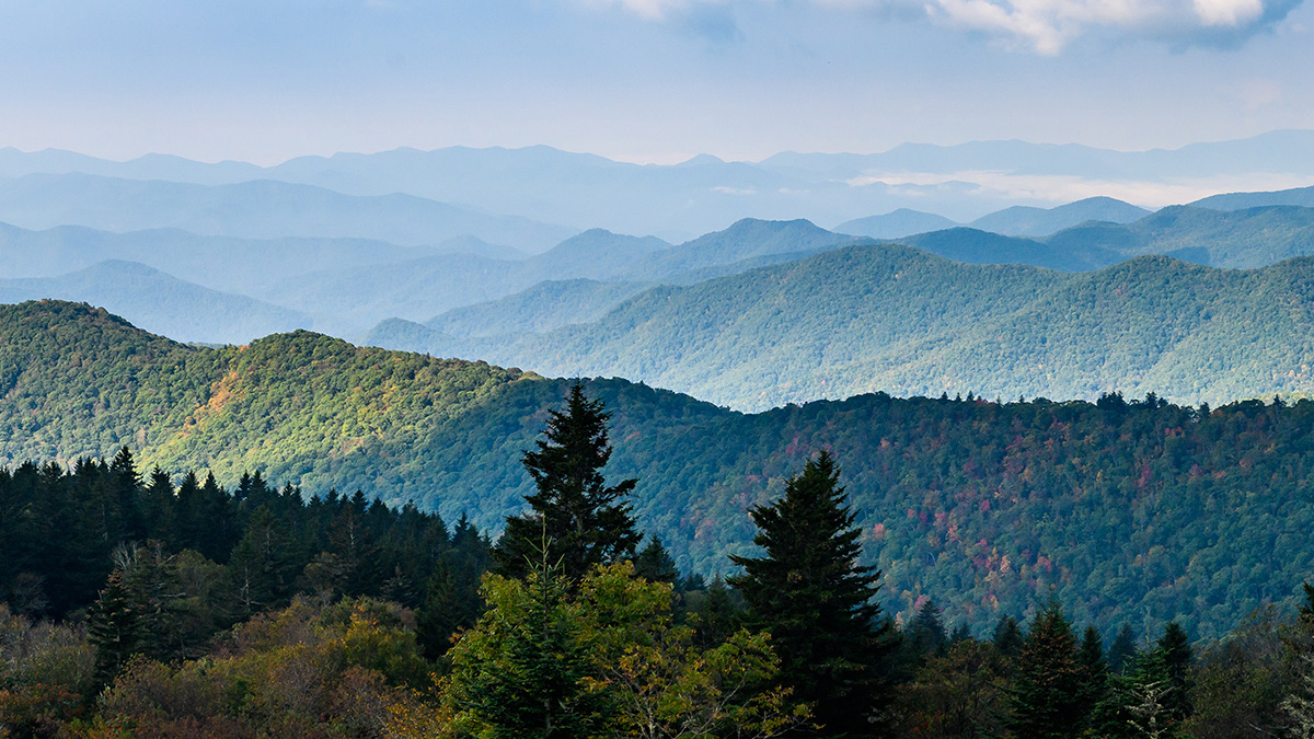 Edd Martin & Associates Real Estate in Stuart, VA (6)