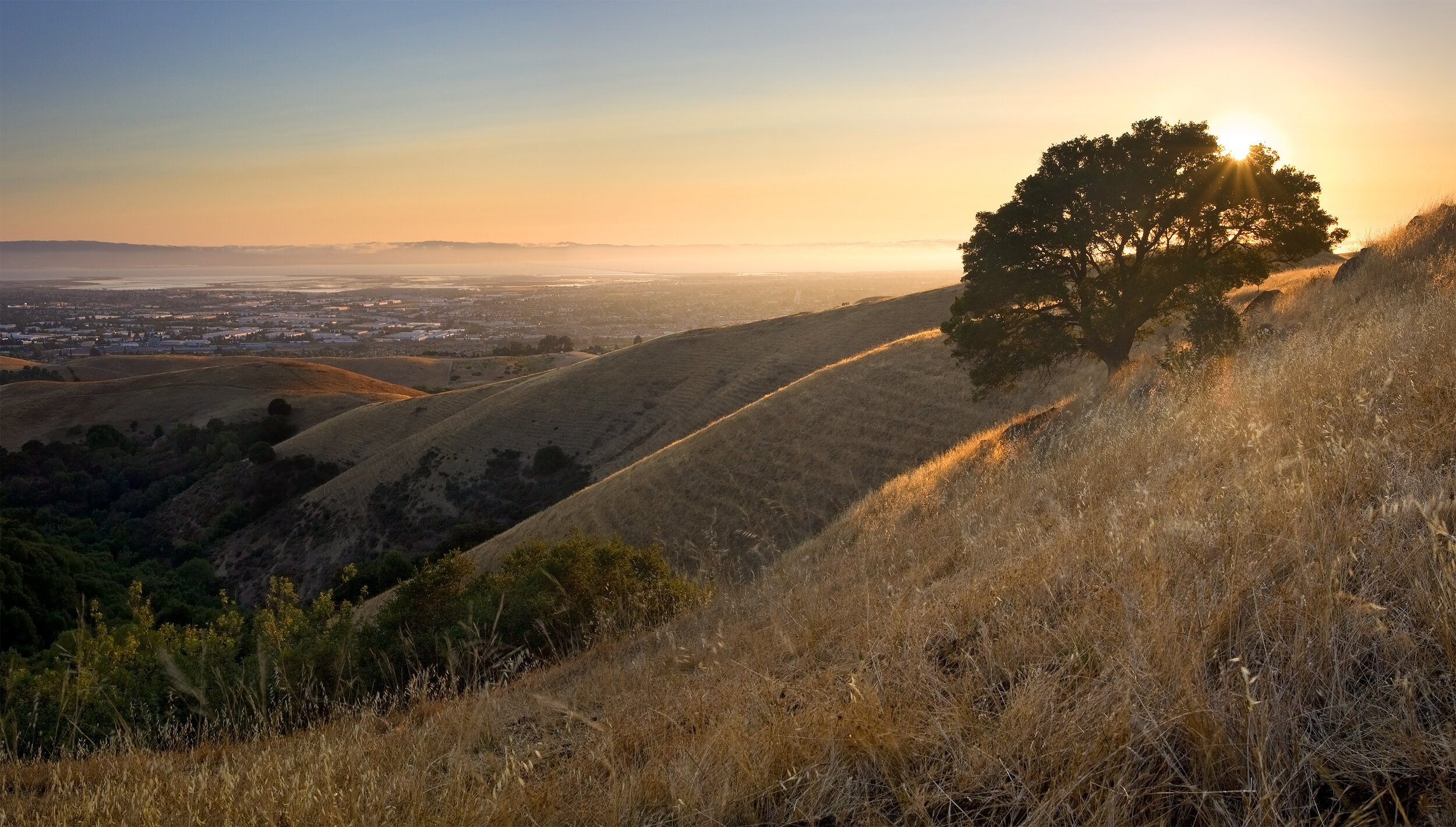 De Pretis CPAs in Pleasanton, CA