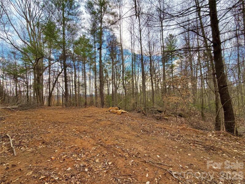 Rus/D Real Estate Brokers – Realtors® in Morganton in Glen Alpine, NC (2)