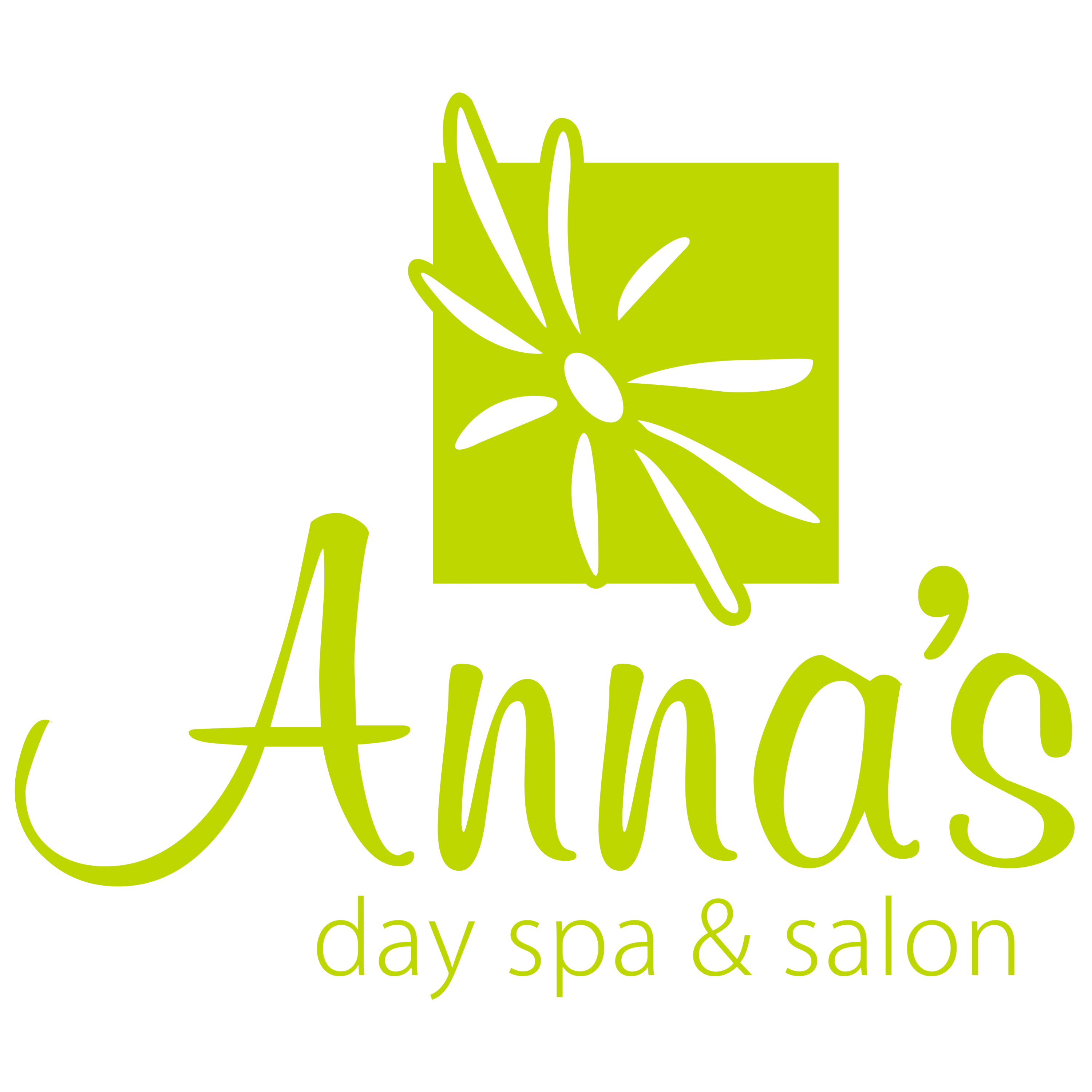 Anna's Day Spa & Salon in Seminole, TX