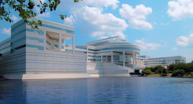 Amoruso & Amoruso LLP in Rye Brook, NY (4)
