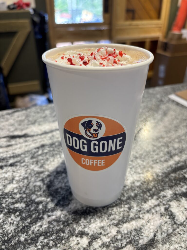 Dog Gone Coffee in Helen, GA (5)