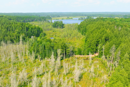 United Country Real Estate Northern Wisconsin Lifestyle Properties in Park Falls, WI (4)
