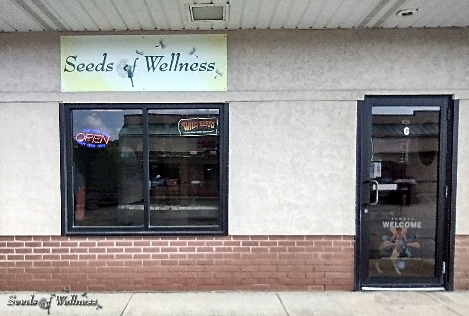 Seeds Of Wellness LLC in Elyria, OH