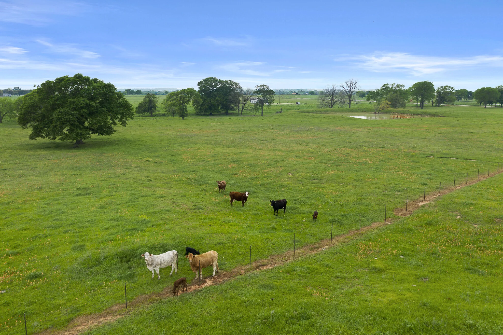 Platinum Ranch Realty in Rosebud, TX (6)
