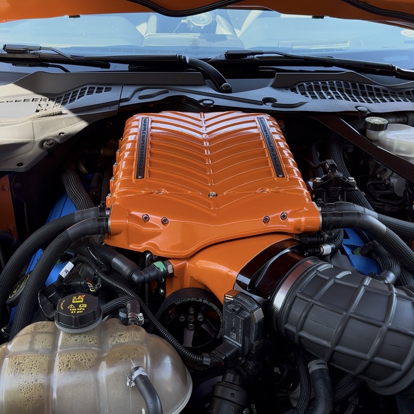Blue Chip Auto Detailing in Camp Meeker, CA (3)