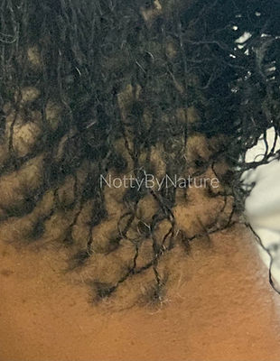 Notty By Nature Loc Care Corp. in Homestead, FL (4)