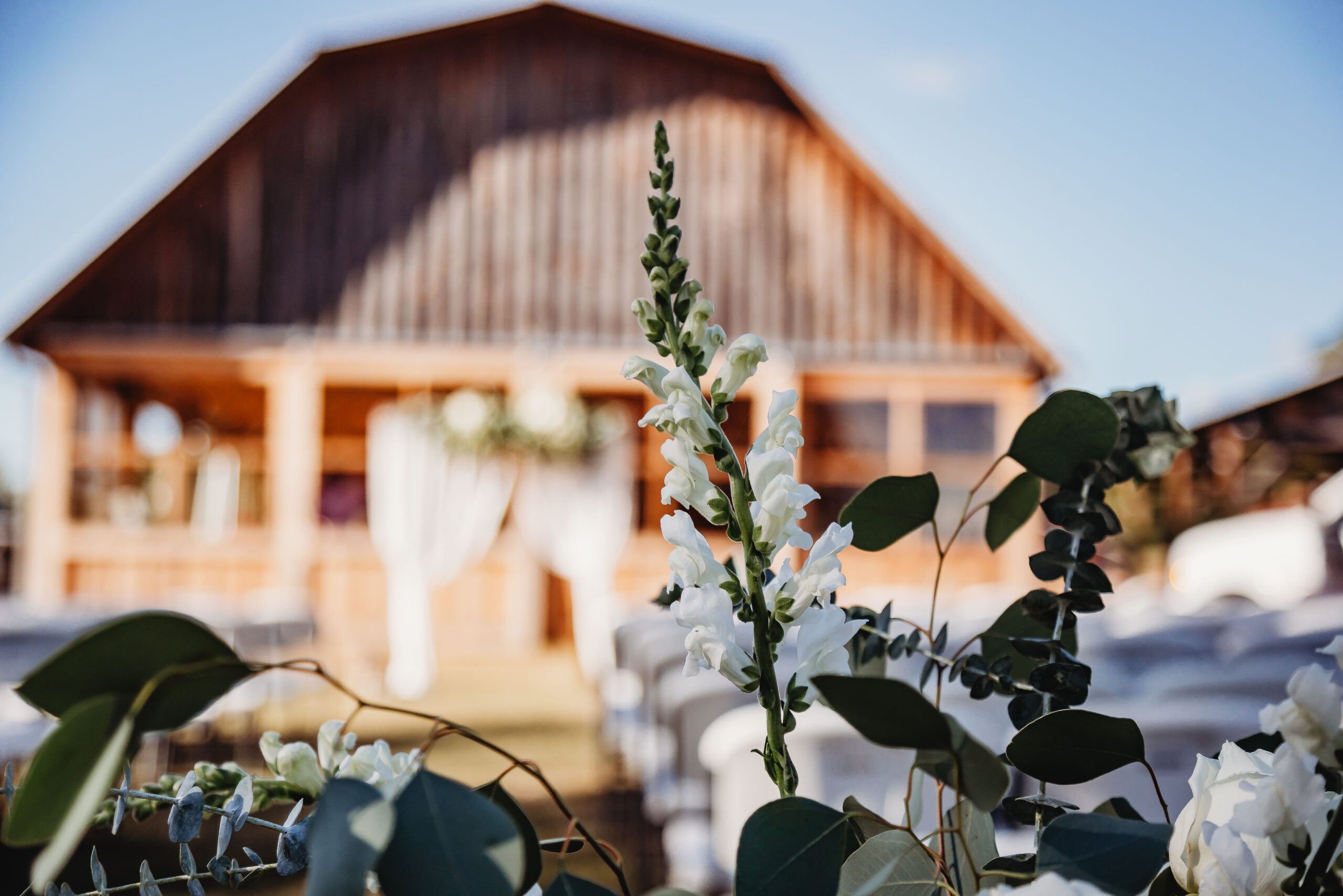 Bass Lake Venue & Catering - A Premier Wedding & Event Venue in Colbert, GA (4)