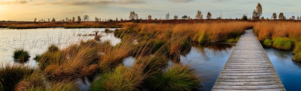 Keith Taylor Law Group, P.A. in Crystal River, FL (3)