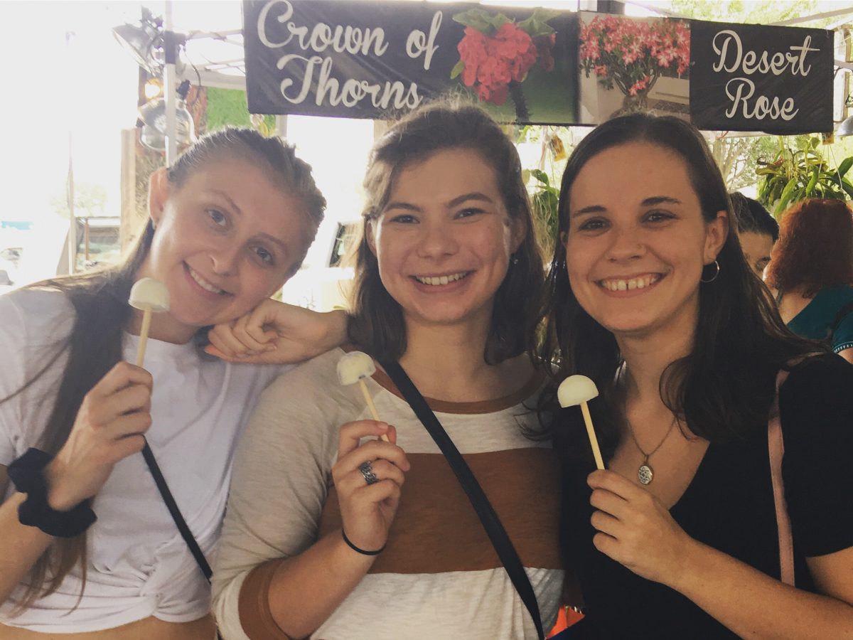Neighborhood Ice Cream Truck in Richardson, TX (6)