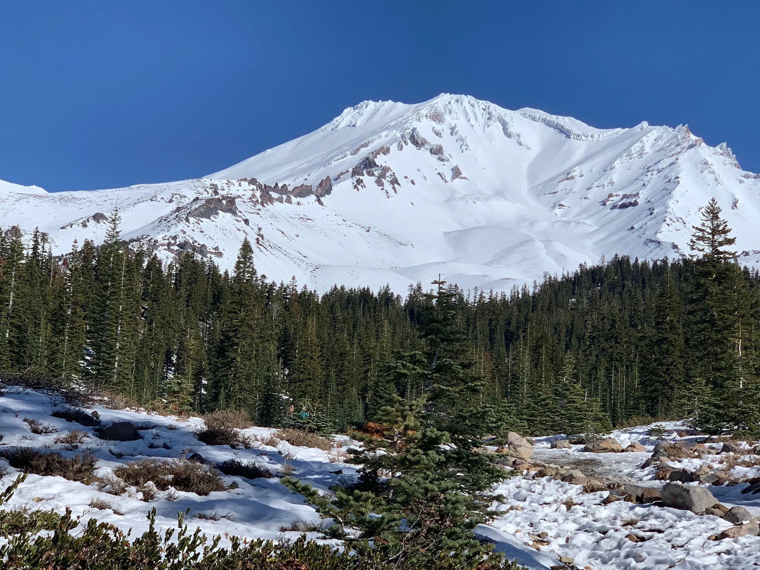 Shasta Real Estate Group in Mt Shasta, CA