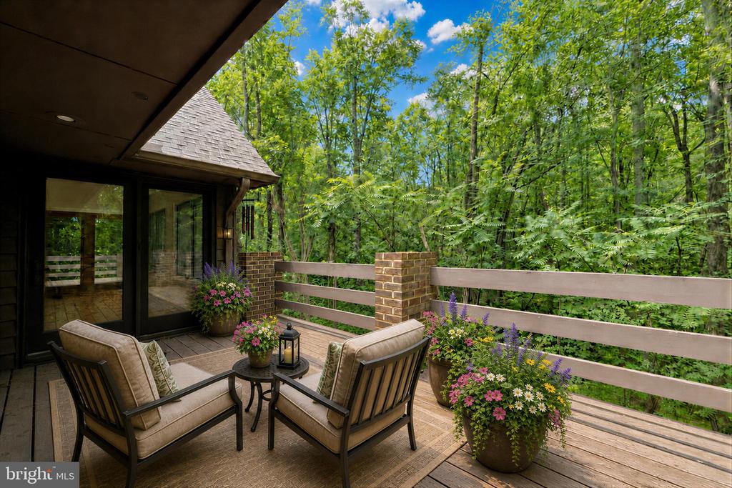 Theresa Shoptaw, Century 21 New Millennium in White Plains, MD (6)