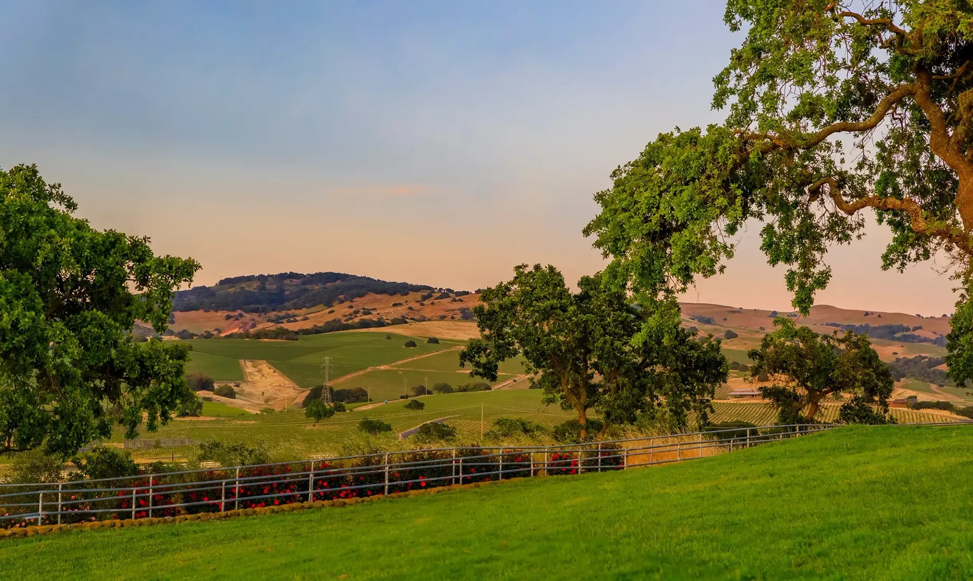 Daryl Reese Law Group in Santa Rosa, CA