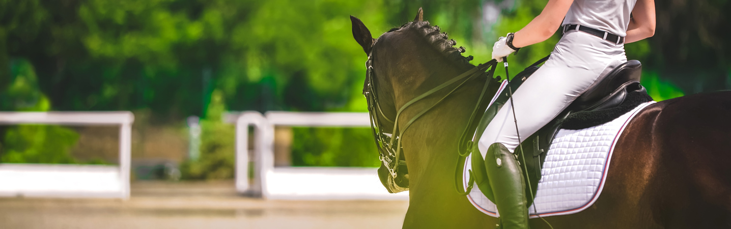 Horse Farm Realty Inc in Fincastle, VA (2)