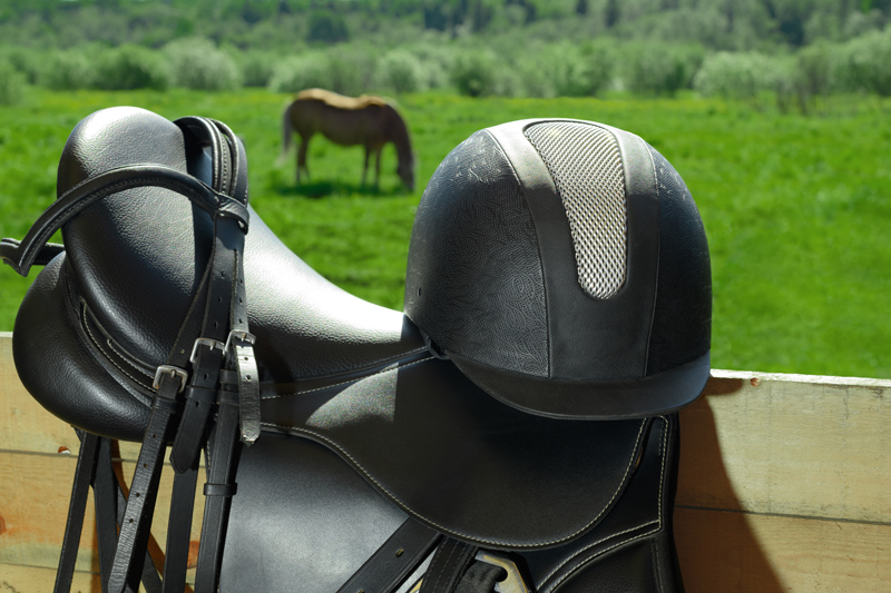 Horse Farm Realty Inc in Fincastle, VA (3)