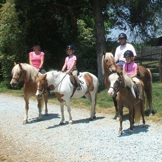 Horse Farm Realty Inc in Fincastle, VA (6)