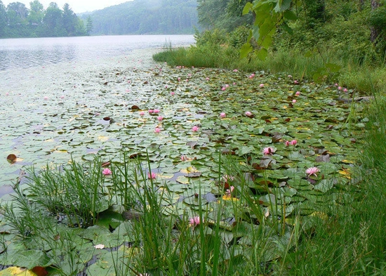 Lake Hope Lodge in McArthur, OH (4)