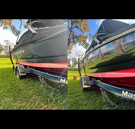 5.0Detail in Tampa, FL