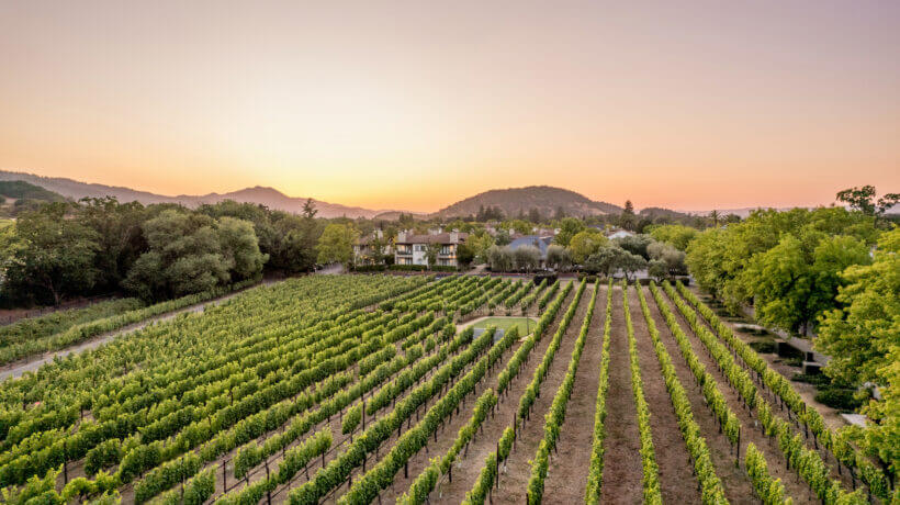V Marketplace in Yountville, CA (2)