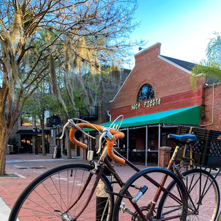 Law Firm of Taren Lane Delisle in Gainesville, FL (6)