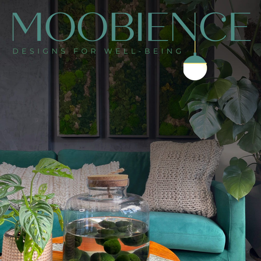 Moobience in Long Beach, NY (3)