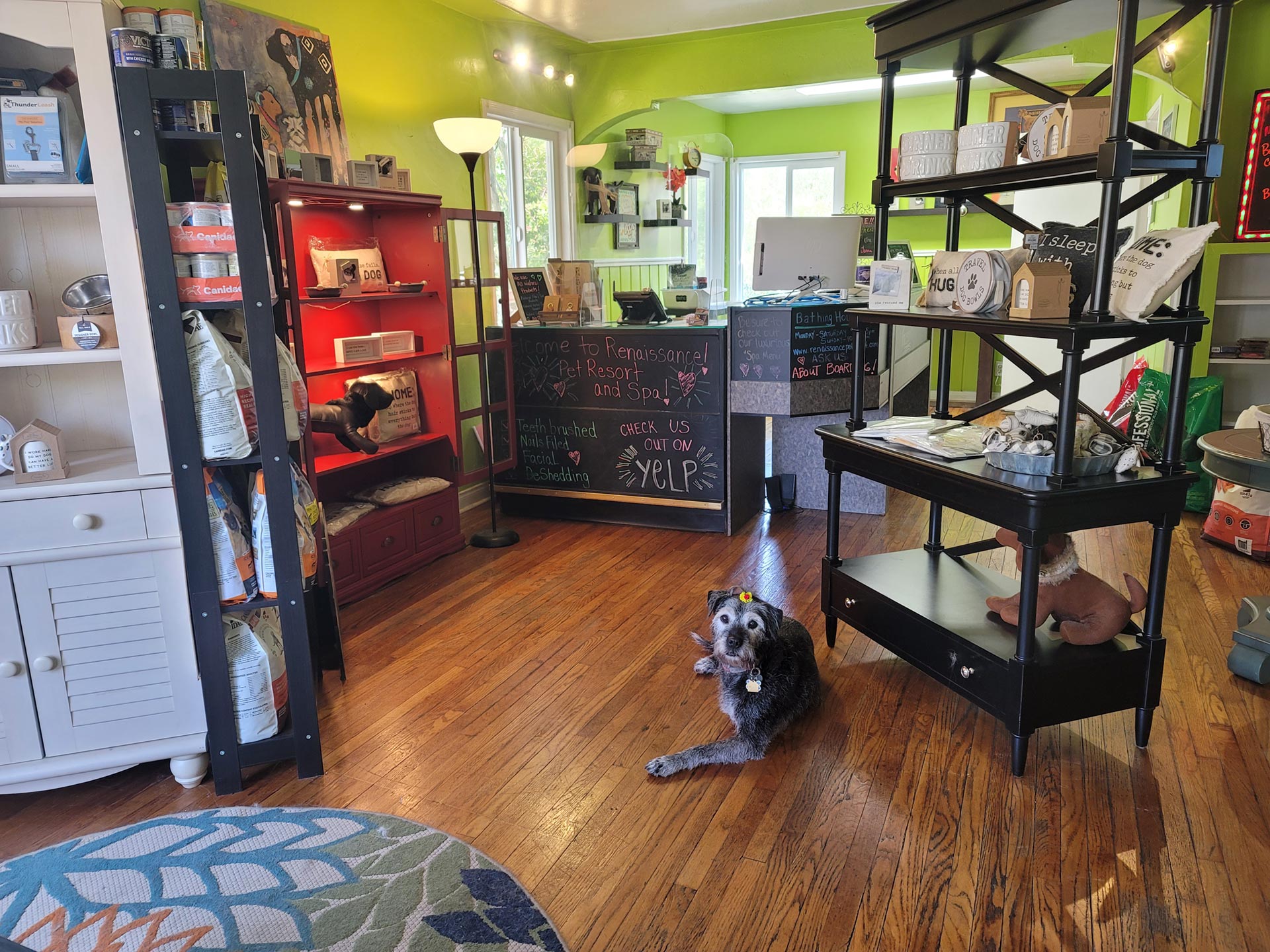 Renaissance Pet Resort & Spa in Banning, CA (6)