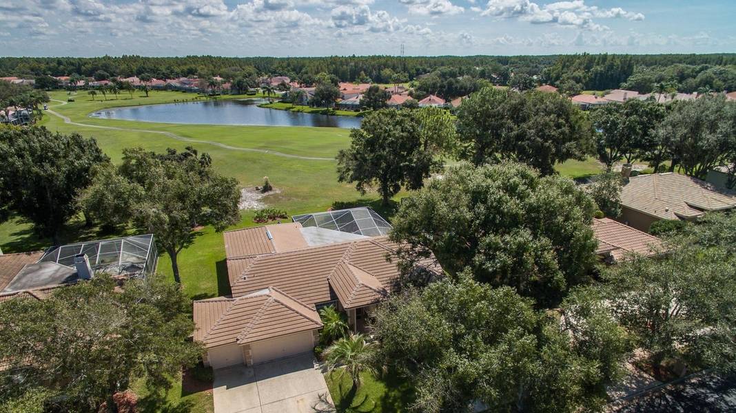 Team Virgadamo - Dalton Wade Real Estate Group in Odessa, FL (2)