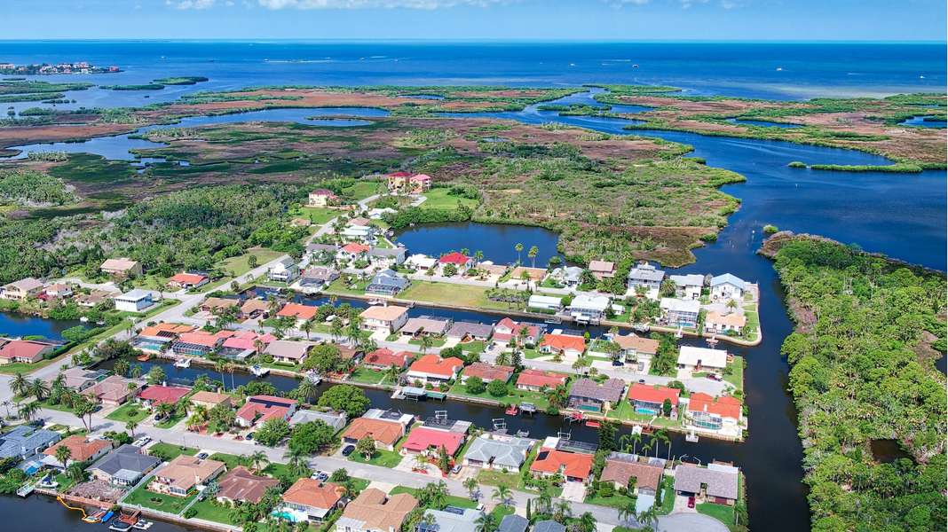 Team Virgadamo - Dalton Wade Real Estate Group in Odessa, FL (4)