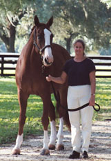 FlexSure Realty Services LLC - Rebecca Burns, Broker/Owner in High Springs, FL (3)