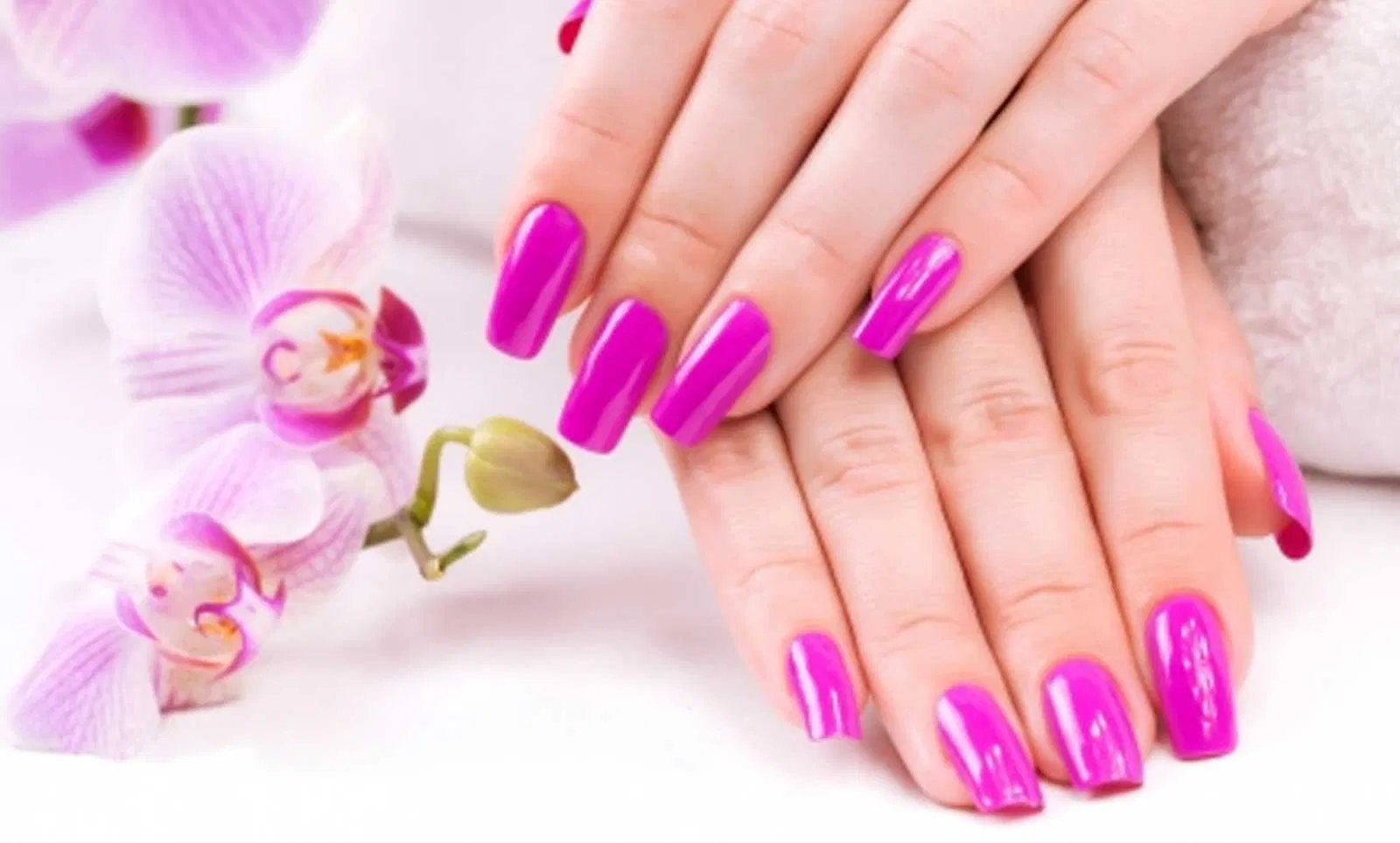 QUEEN NAILS in Lake City, FL (6)