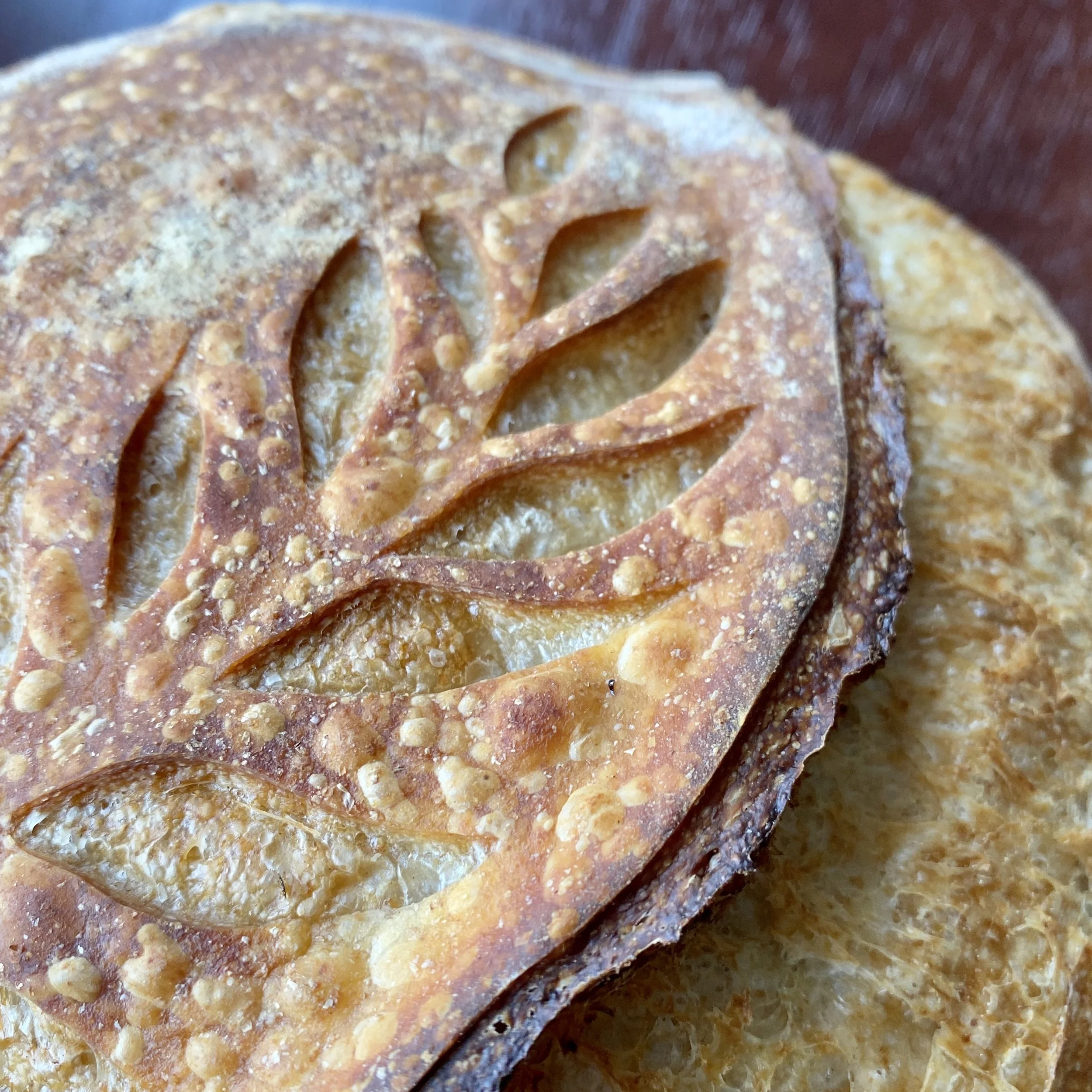 Bolivar Bread Bakery in Harpers Ferry, WV